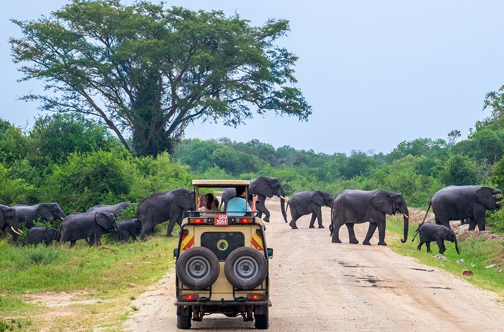 Family Wildlife Safari Uganda